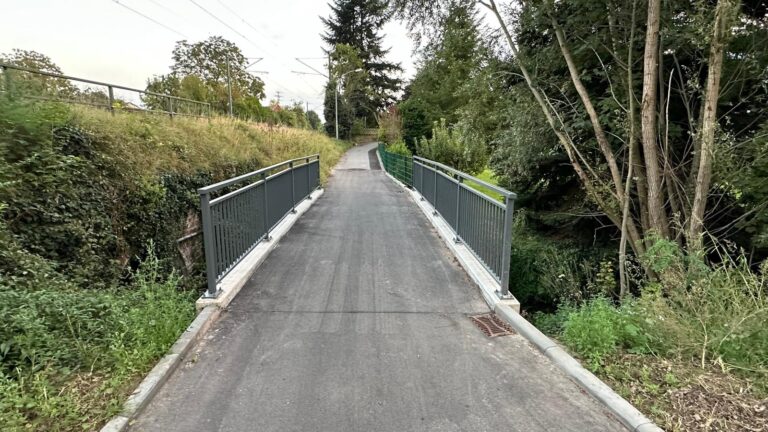 Sicherheitsbedenken an sanierter Erlenbach-Brücke: Bürger mahnen sichere Geländer an – Verwaltung nach Hinweis von BÜNDNIS 90/DIE GRÜNEN um Prüfung gebeten